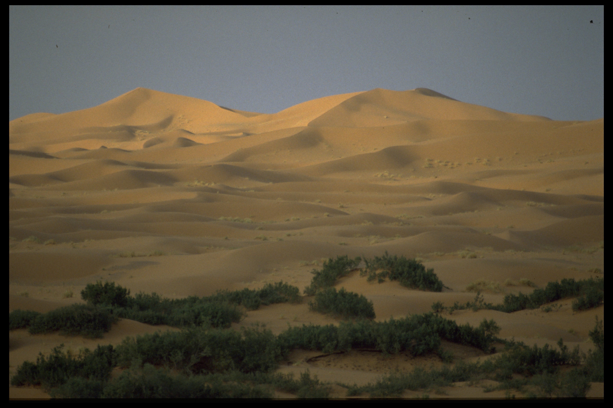 The Morroccan Sahara