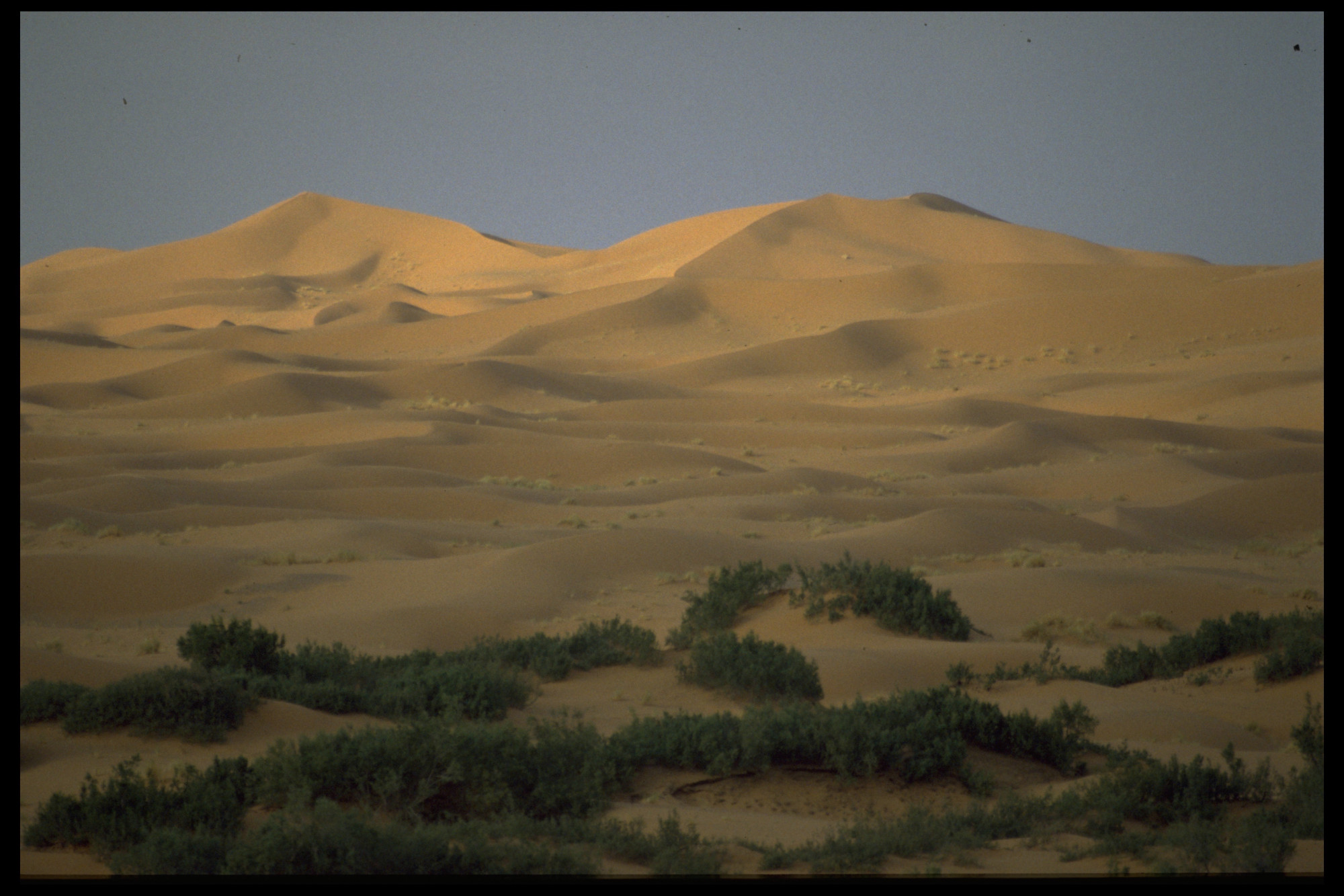 Die Marokkanische Sahara