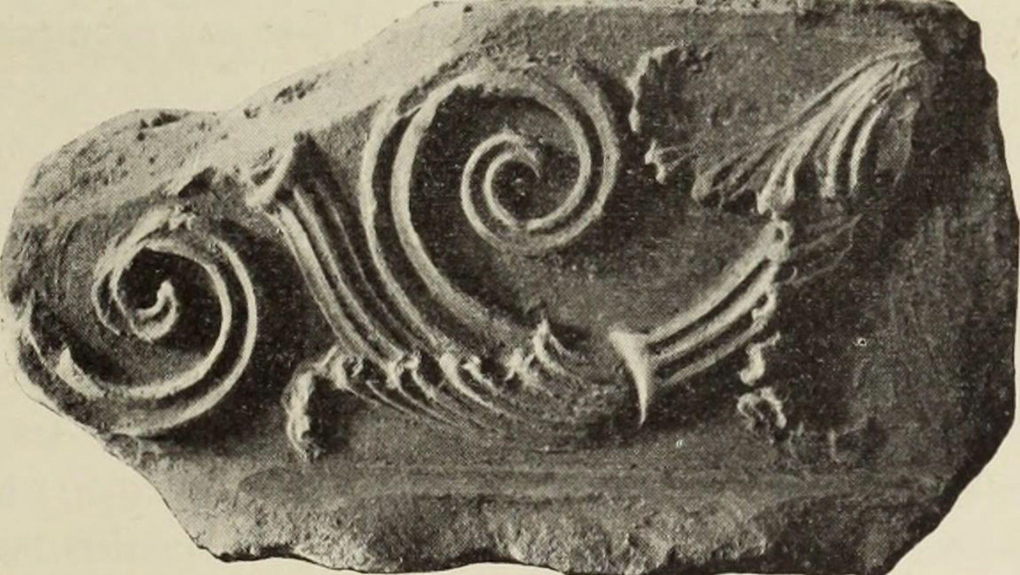 Corinthian wall relief