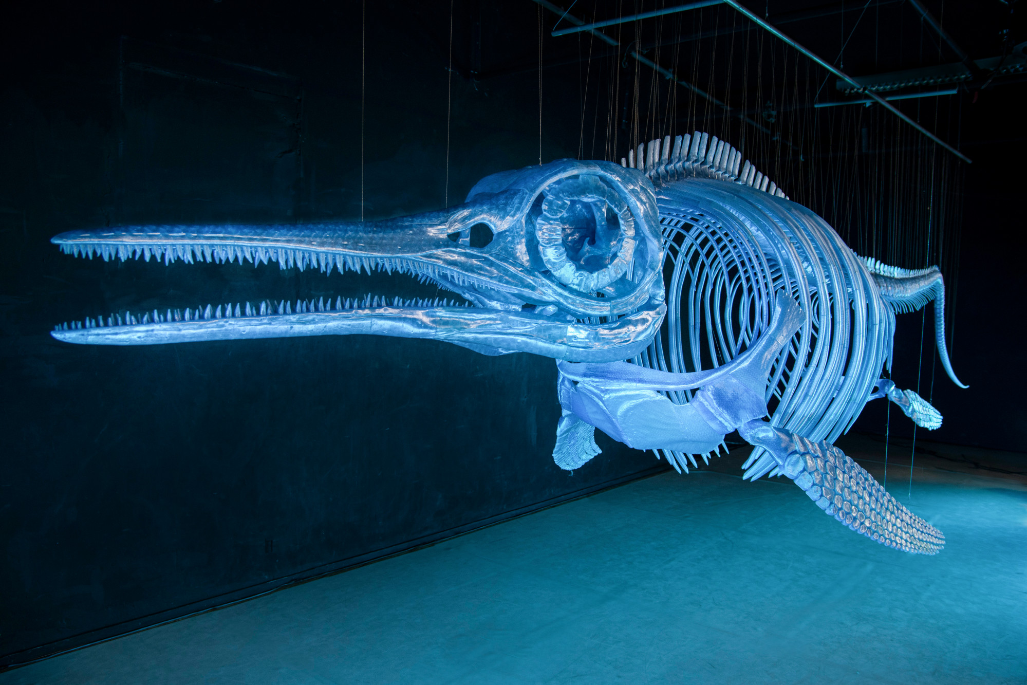 Ichthyosaurier aus recyceltem PET gedruckt