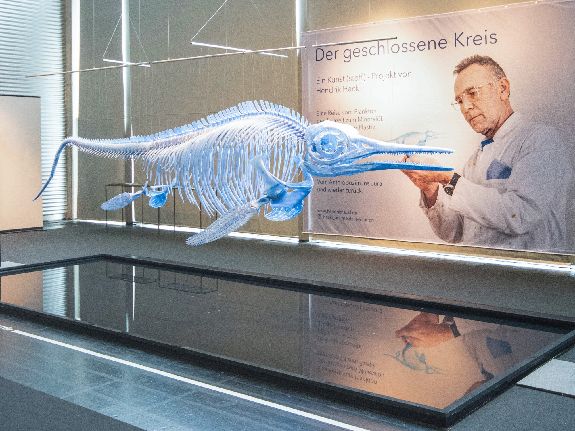 PET ichtyosaur in Vienna