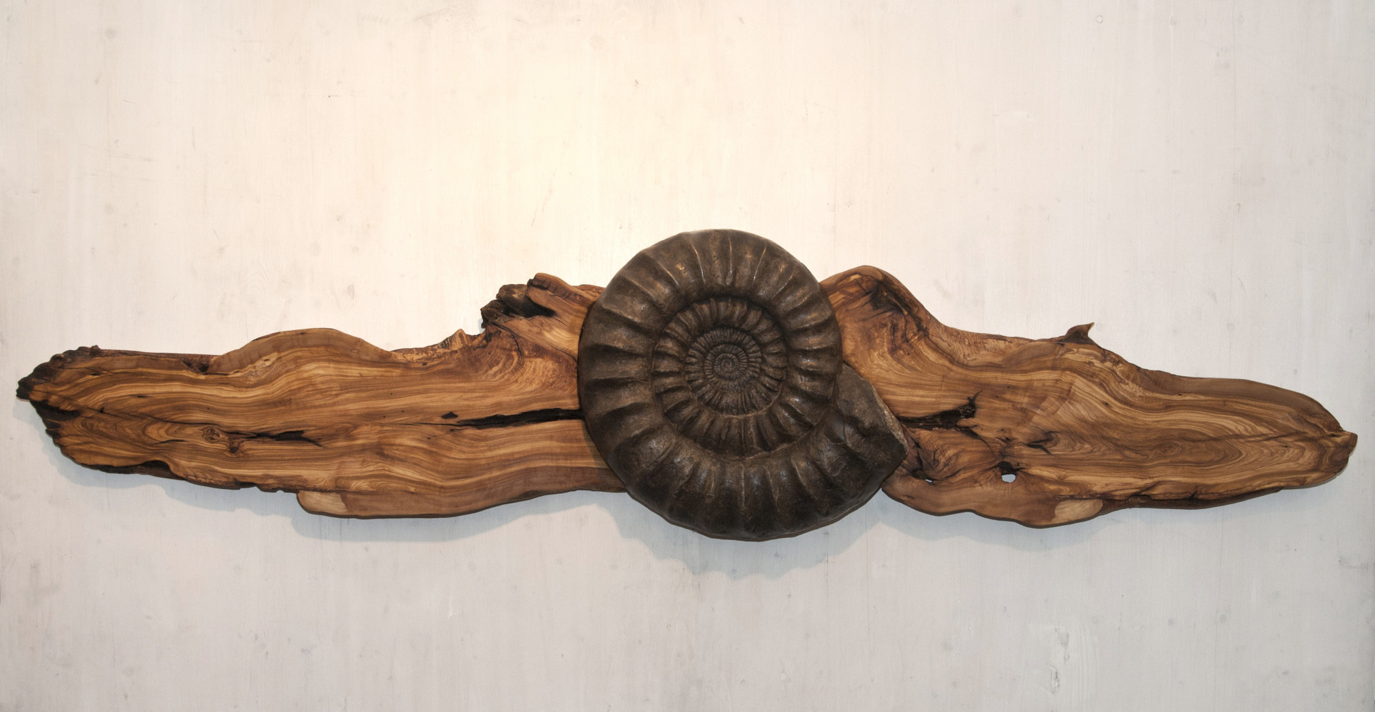 Bucklands Wings - Wandskulptur - Kunst mit Fossilien