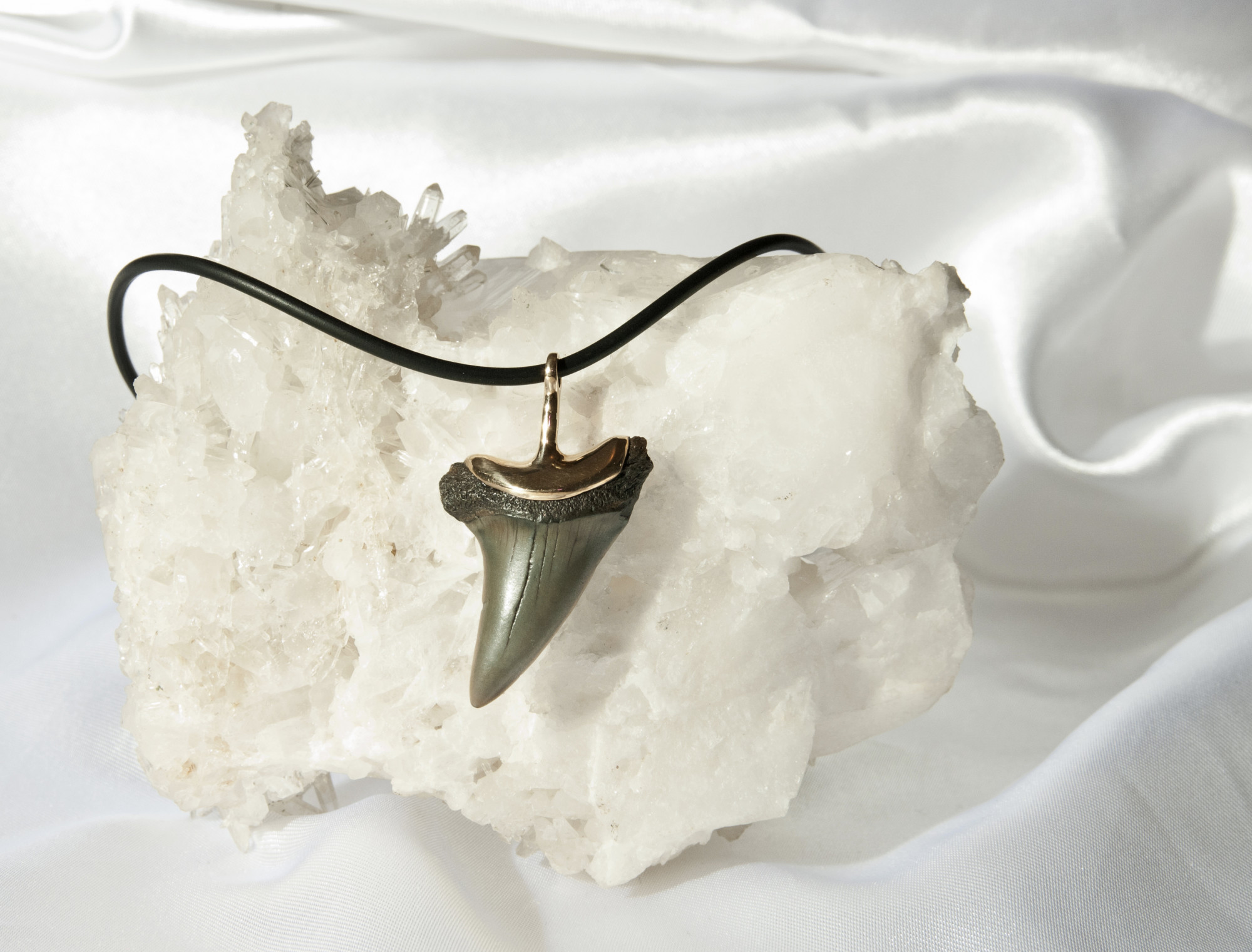 Fossilized shark tooth as a pendant - Fossil art