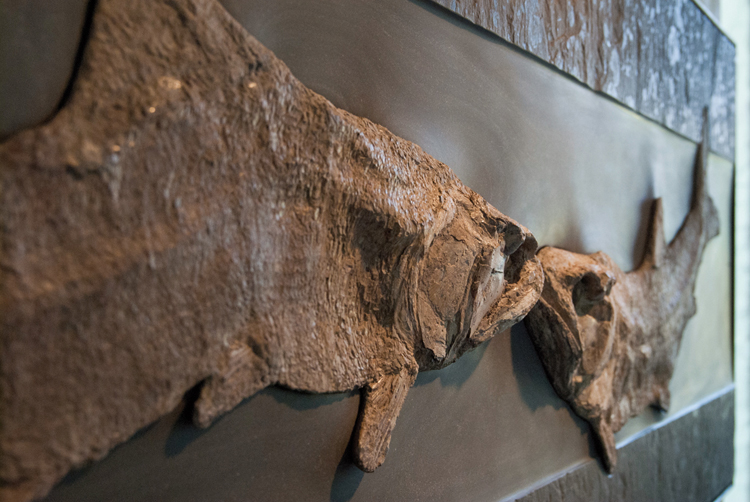 Wall sculpture with petrified fish - Fossil art