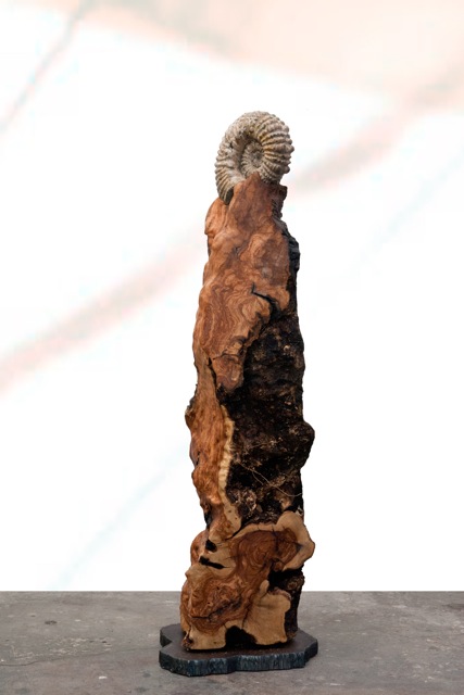 Sculpture with olive wood and ammonite